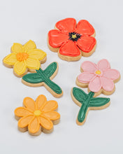 Load image into Gallery viewer, Opossum Treats Tin - Shortbread Cookies, Speculoos Bonbons and More! Mild and Wild Collection
